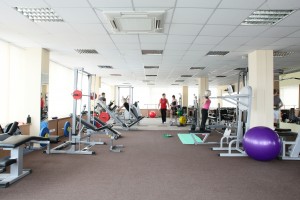 Physical Therapy